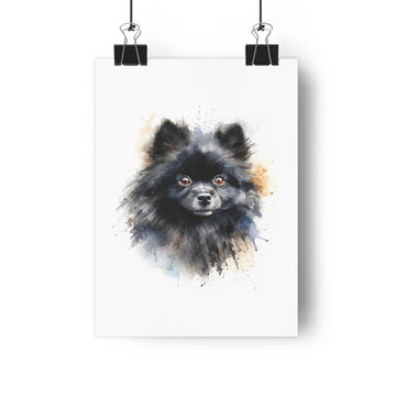 Black Pomeranian, Giclée Art Print