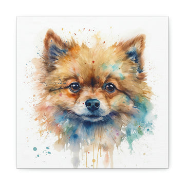 Pomeranian Watercolour, Canvas Gallery Wrap