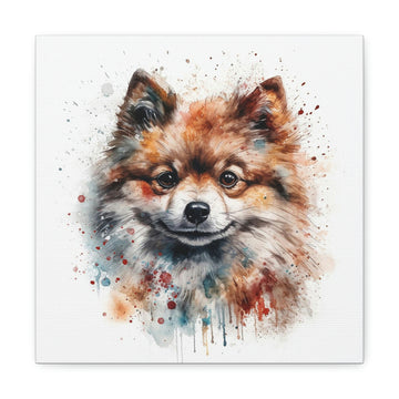 Pomeranian Watercolour, Canvas Gallery Wrap