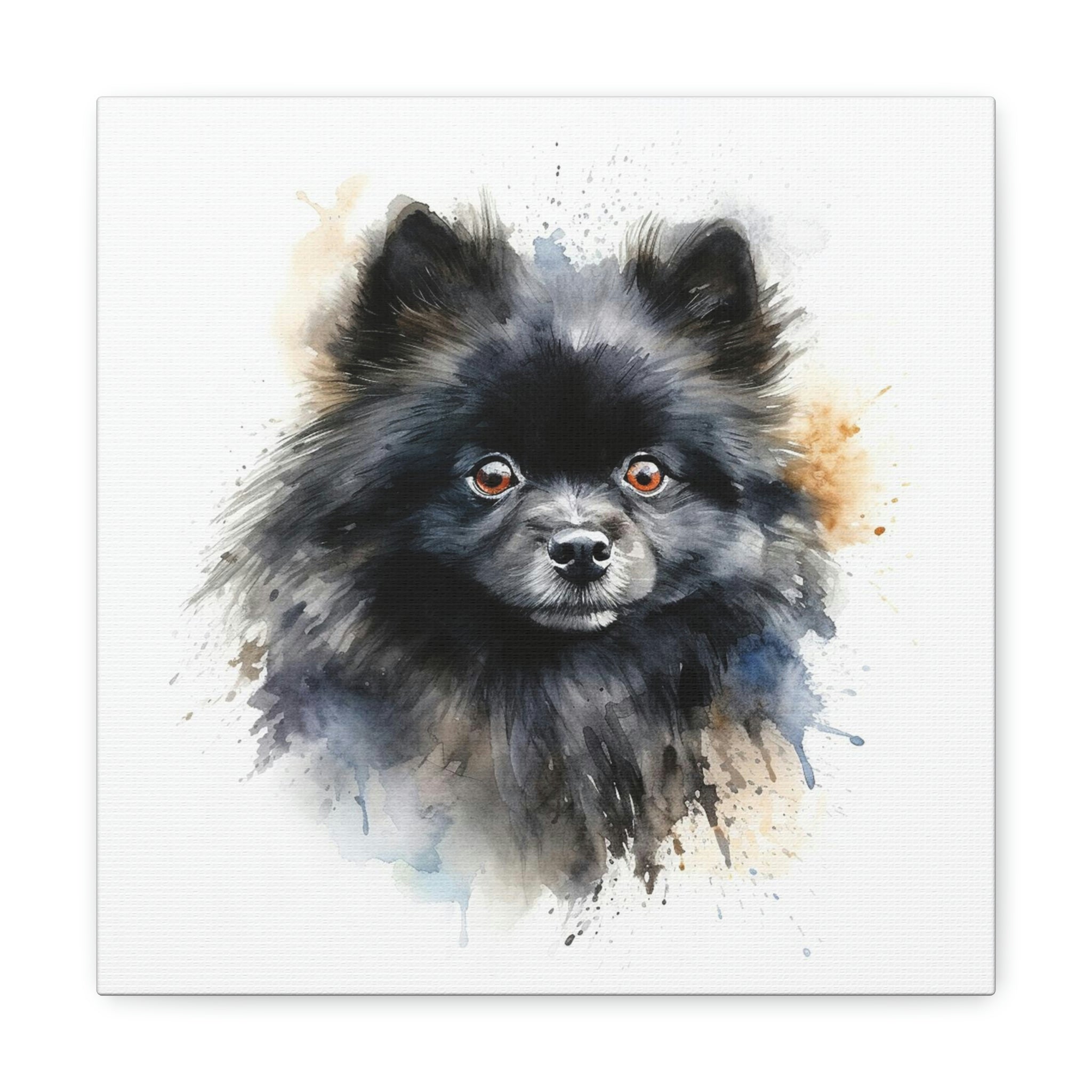 Pomeranian Watercolour, Canvas Gallery Wrap