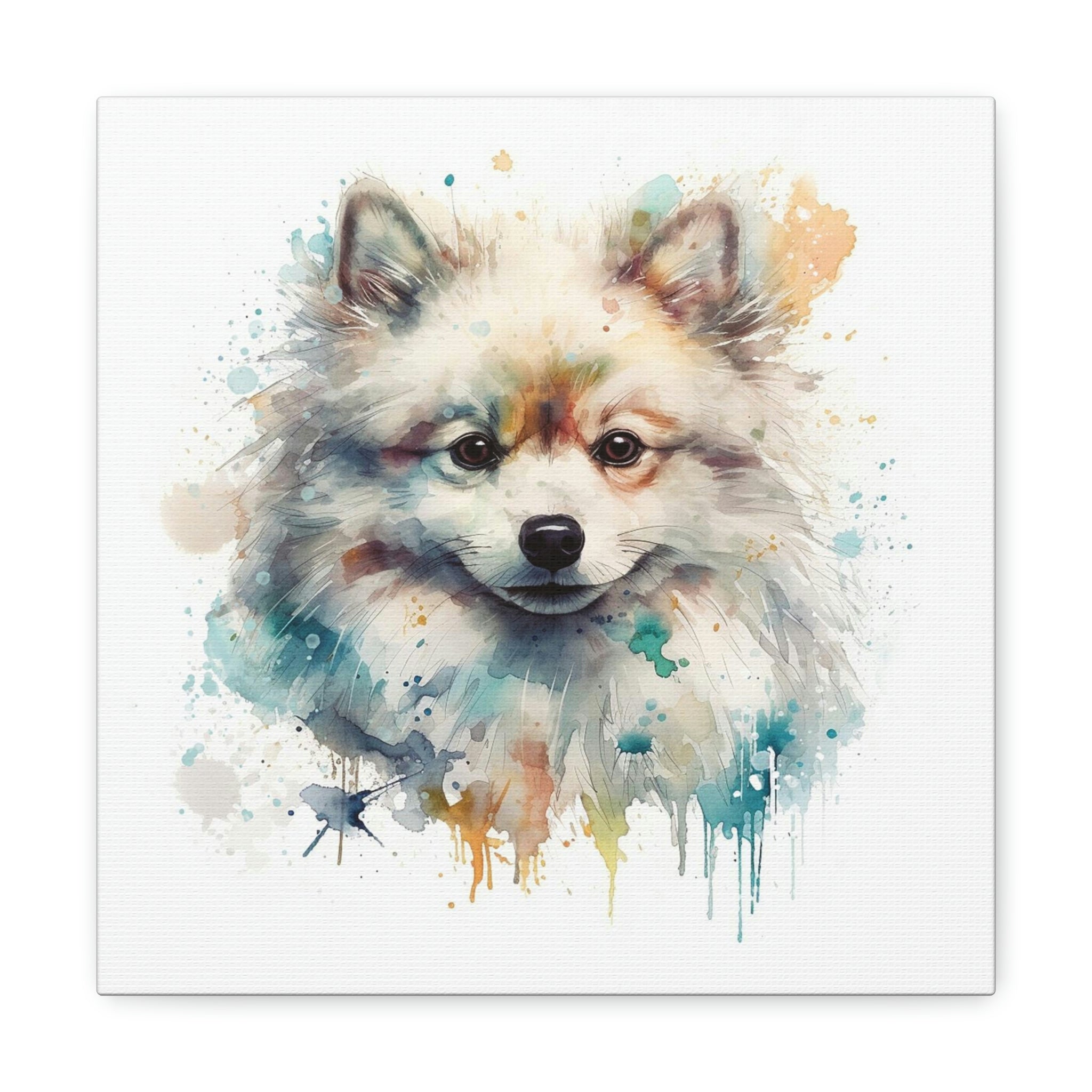Pomeranian Watercolour, Canvas Gallery Wrap